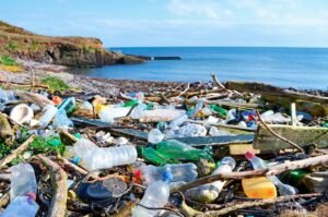 Micro Plastics Breakdown
